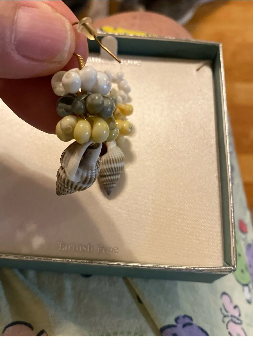 N/A delicate shell